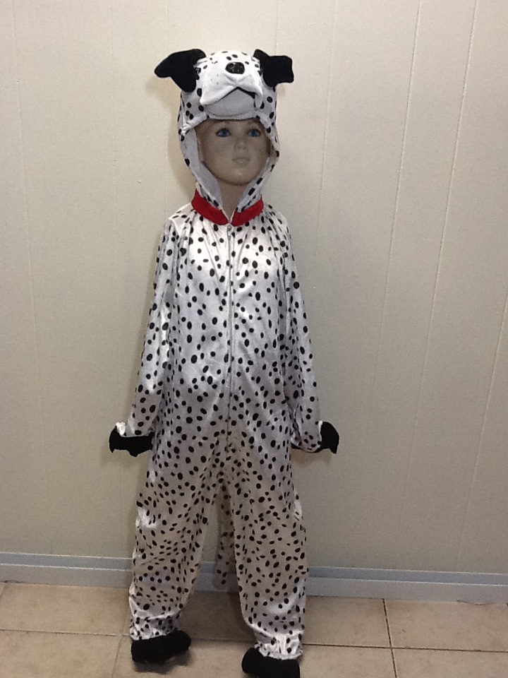 DALMATION DOG