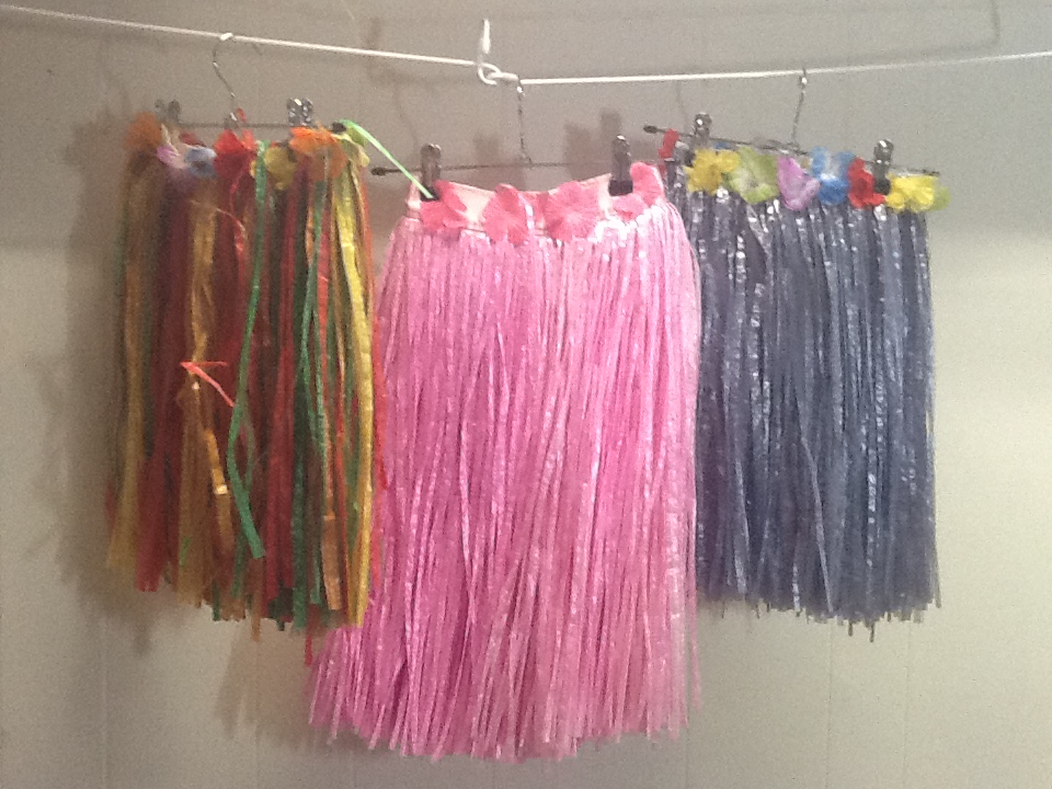 HAWAIIAN GRASS SKIRT