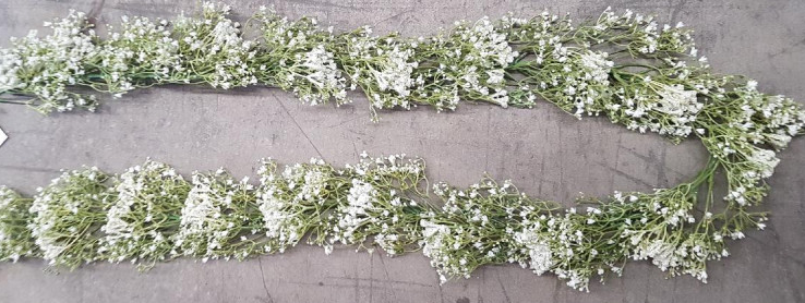 BABIES BREATH GARLAND