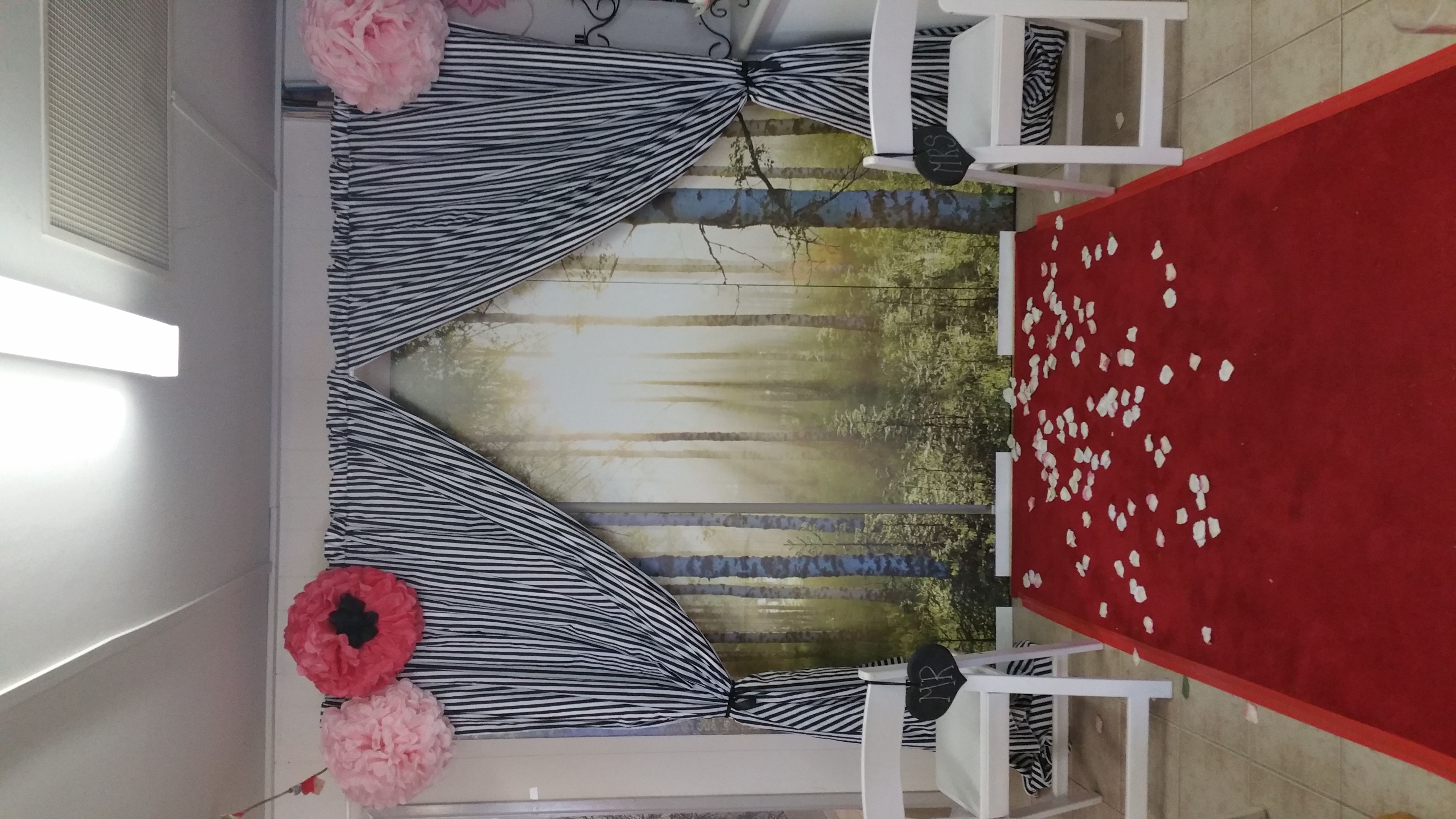 WONDERLAND BACKDROP/ ARBOR