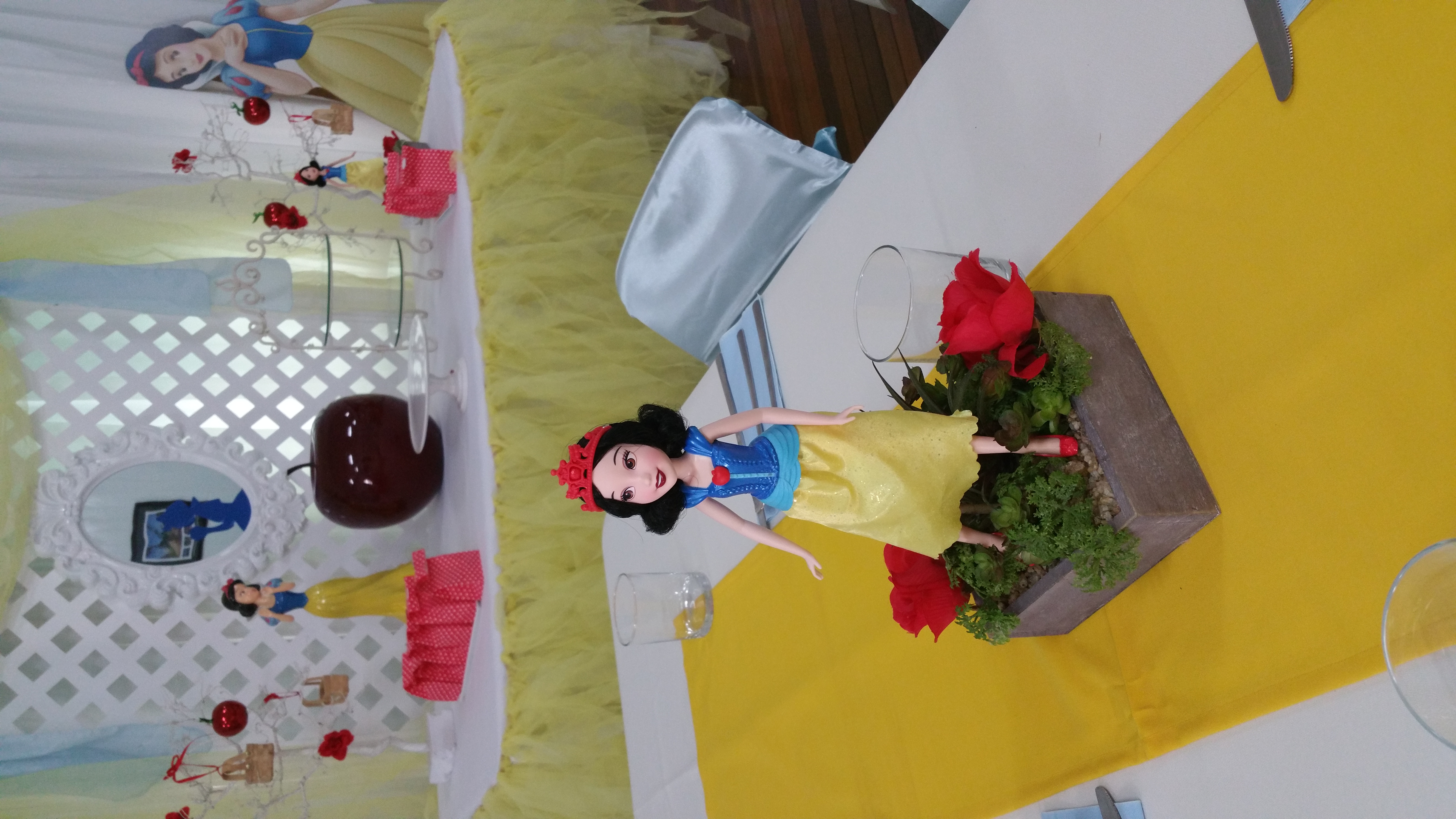 SNOW WHITE THEME PARTY