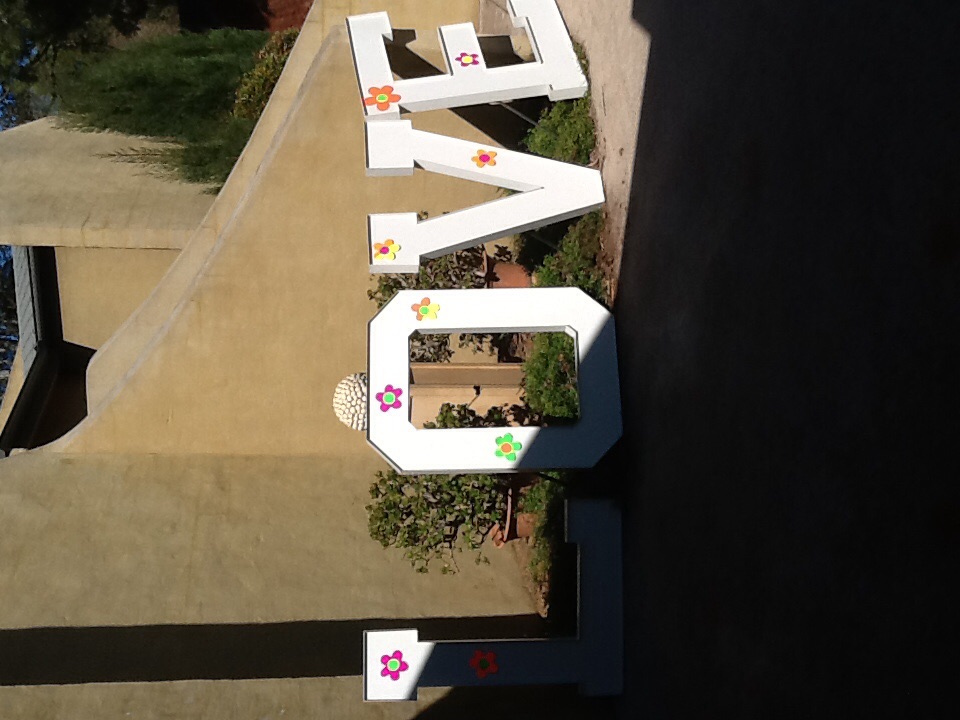 60's/70's FLOWER POWER PARTY